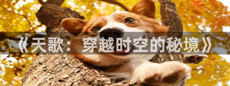 香蕉漫画下载软件：《天歌：穿越时空的秘境》